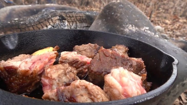 お肉を食べたくなる🥩。ワサビ、にんにくとステーキ#ソロキャンプ #キャンプ飯