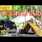 【キャンプ場紹介】【佐中ふれあいの里キャンプ場】姫路市の山奥にある穴場キャンプ場・癒やしの林間オートサイト