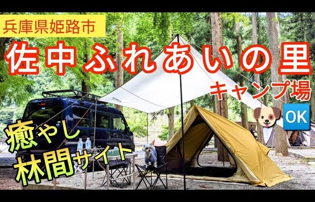 【キャンプ場紹介】【佐中ふれあいの里キャンプ場】姫路市の山奥にある穴場キャンプ場・癒やしの林間オートサイト