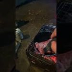 キャンプステーキじゅうじゅう！！🍖#キャンプ飯 #キャンプギア #キャンプ女子