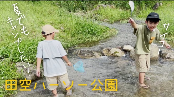 【沖縄キャンプ場】北部の田空ハーソー公園。川あり！動物あり！公園あり！ファミリー向けのキャンプ場で川エビを食らう。
