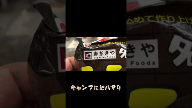 キャンプ飯テロ　寿がきや味噌煮込みうどん　#shorts