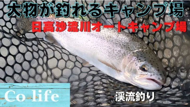 【北海道釣り】渓流釣りおすすめの日高沙流川オートキャンプ場