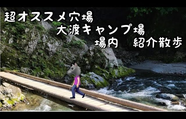 《キャンプ場紹介》超穴場のおすすめキャンプ場！大渡キャンプ場を散歩して紹介！