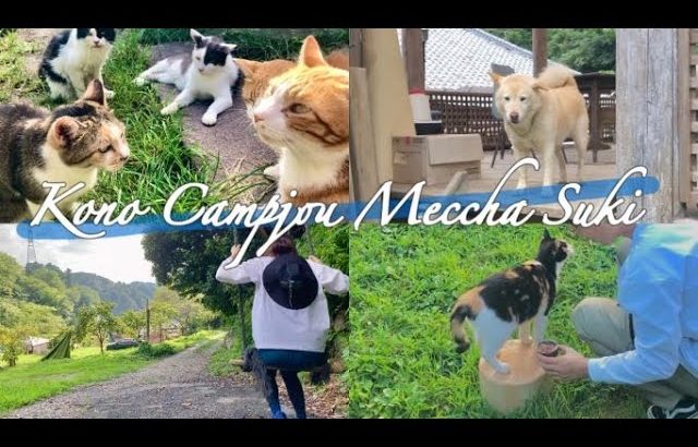 【迷ったらココ】関東で1番おすすめしたいキャンプ場