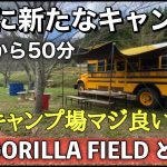 『関西新規キャンプ場』大阪に人気沸騰間違いないキャンプ場が誕生した。＃GORILLA FIELD　とよの