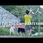 【キャンプ場紹介】全サイト紹介レポ！犬が喜ぶドッグランサイトのキャンプ場「アウトテイルドッグキャンプ館山」千葉県館山市【OutTailDogCampTATEYAMA】