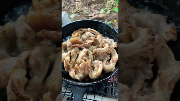 多分すごく簡単な鶏せせりのつまみ【キャンプ飯】 #shorts