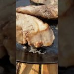 キャンプの季節。シイラとぶなしめじのバターソテー。#shorts