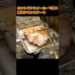 キャンプで簡単！ホットサンドメーカーで焼くチキンステーキ #shorts