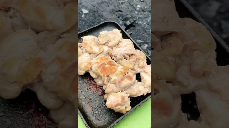 昼休みに職場の裏で作った鶏肩肉のつまみ【キャンプ飯】 #shorts