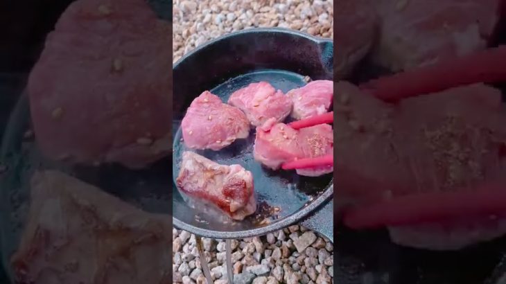 【キャンプ飯】媚び売っていくスタイル🌝#shorts