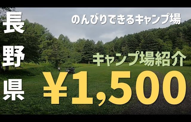 【キャンプ場紹介】山田牧場キャンプ場　長野県　関東　信越