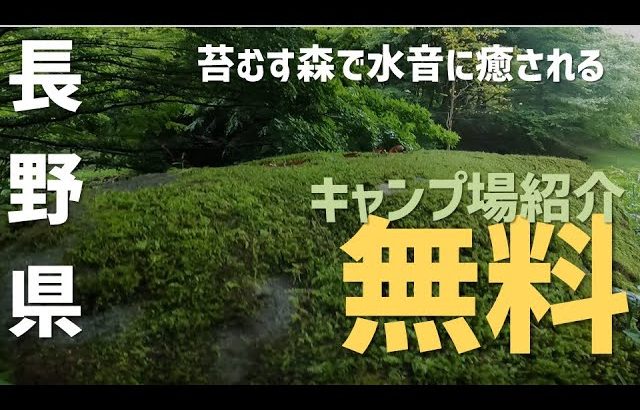 【キャンプ場紹介】蛇石キャンプ場　長野県　関東　信越　おすすめ　格安 無料