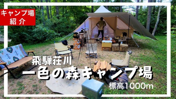 【キャンプ場紹介】夏でも涼しい‼避暑にオススメな一色の森キャンプ場