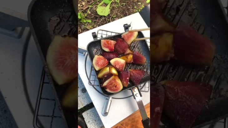いちじくタルト🍀Fig tart  こっくり甘やか　#キャンプ飯 #camping #おうち時間 #tarte
