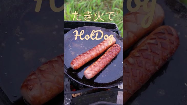【キャンプの朝ごはん】たき火でHotDog！シンプルに美味いよね #shorts