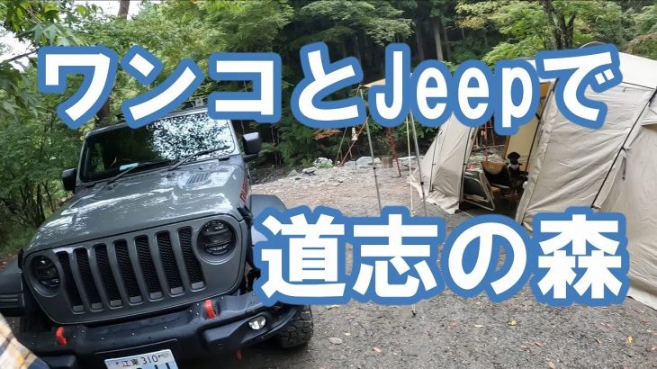 道志の森キャンプ場で人気のマルチグリドル料理。噂通り、これはいい！もう、キャンプはこれ一つでOKかな。