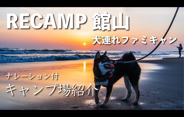 【犬とキャンプ】ここは南国！？RECAMP館山で海の幸キャンプ＆海岸散歩【キャンプ場紹介・後半はナレーション付きレポート】