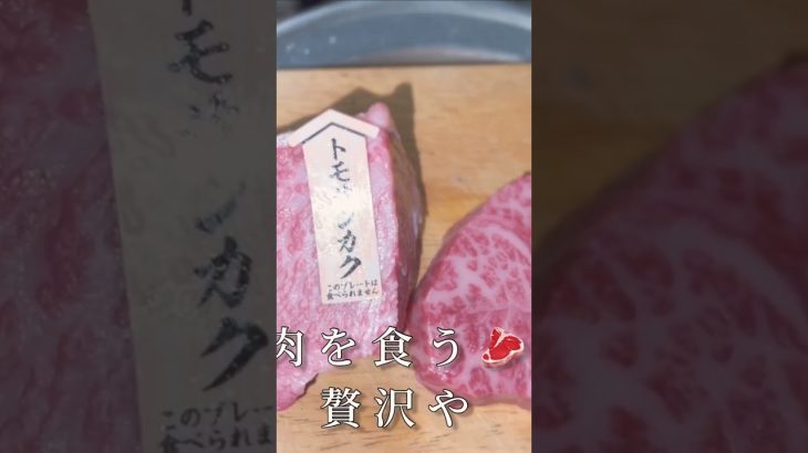 #アウトドア #キャンプ飯 #焚き火 #neiloygamer #渓流釣り #自然 #肉 #キャンプ