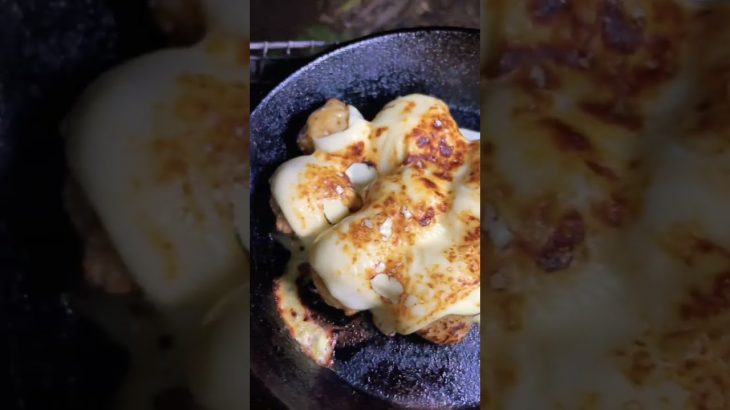 【キャンプ飯】焼くだけ簡単なチーズとピーマンとつくねのつまみ【シンプルに旨い】 #shorts