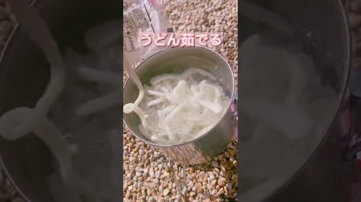 【キャンプ飯】カレーうどん！子猫と共に🐱#shorts