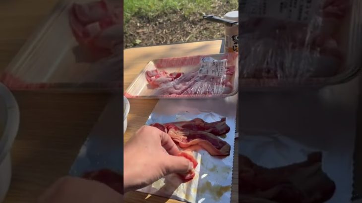キャンプ飯【肉ボール】 #shorts