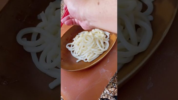 【キャンプ飯】ズボラうどん！子猫可愛い編。#shorts