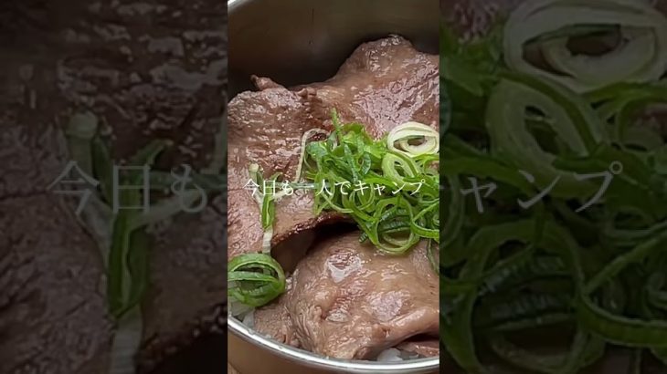 【ソロキャンプ】牛タン丼🤤 #shorts #ソロキャンプ #solocamping