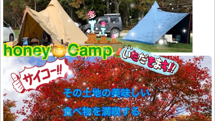 「キャンプ動画」飯テロ✖️紅葉🍁✖️白鳥🦢✖️☔️✖️オススメのスパイス