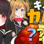 いち女、キャンプへ行く その②～朝ごはんとガラルのカレー～
