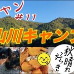 【 キャンプ 】猫キャン 穴場で超おすすめ！秋山川キャンプ場〜ペットにも自然にもお財布にも優しいキャンプ場！！！猫初めましてのワンコの前で落ち着き払う先輩家猫トビーwww【 ネコ　動画 】