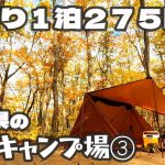 【宮城県の格安キャンプ場③】1人１泊２７５円⁈〔１サイト１１００円を４人で利用時〕　紅葉や新緑の季節におすすめの林間サイト