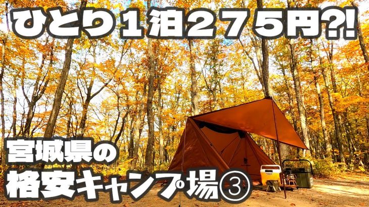 【宮城県の格安キャンプ場③】1人１泊２７５円⁈〔１サイト１１００円を４人で利用時〕　紅葉や新緑の季節におすすめの林間サイト