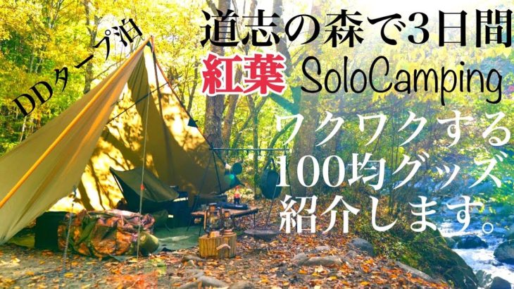 【ソロキャンプ】おすすめ100均グッズ紹介|酒飲みの道志の森で3日間。