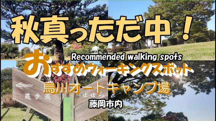 美松運送　おすすめウォーキングスポット　烏川オートキャンプ場　健康経営優良法人　ILOVE藤岡市　物流業　運送業　倉庫業　ドライバー募集