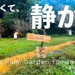 【Ogawa Plum Garden for campers（ご紹介）】1日数組しか入れない『静か』をコンセプトにしているNEWキャンプ場［埼玉キャンプ場］