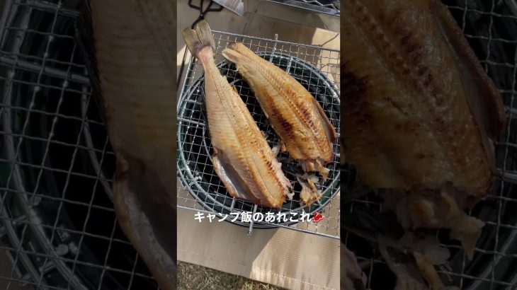 キャンプ飯のあれこれ🥩　#shorts