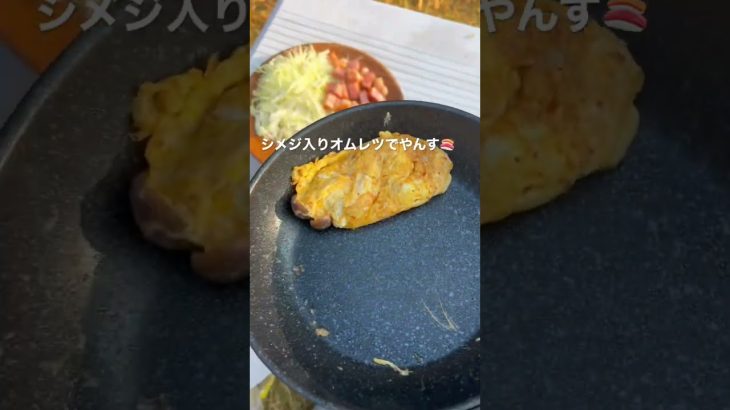 板前キャンパーの朝ごはんでやんす🍣　#キャンプ #あさごはん #ソロキャンプ #ボートレース #ぶちこみ工業
