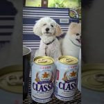 2022年のキャンプ飯を1分で振り返ってみた！　#shorts　モンチロキャンプ