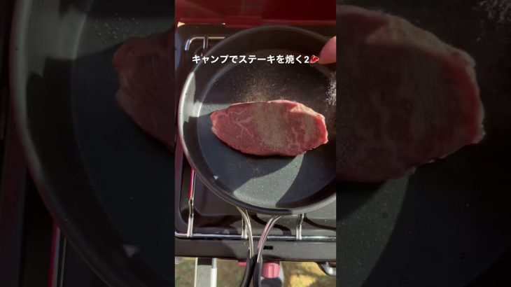キャンプでステーキを焼く2🥩　#shorts
