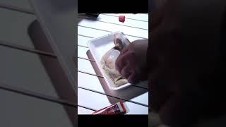 【クリスマス ローストチキン】ソロキャンプ飯　 #Shorts #キャンプ飯 #クリスマス #ソロキャンプ