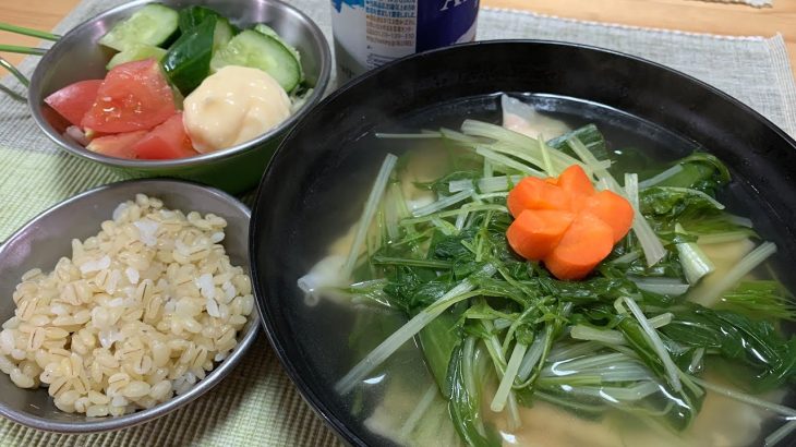 あっさりシミシミ鶏ミンチのワンタンスープ【プラベキャンプ場と猫と糖尿病食】寒い日にココロにしみる味【週末里山料理VLOG】