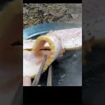 キャンプ飯『ジブリ飯』#short @WinWincampingchannel