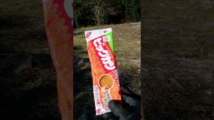 駄菓子をチーズにディップしました#shorts #駄菓子 #ホットサンドメーカー