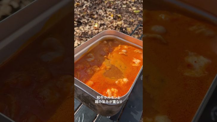 【キャンプ飯】もつ鍋 + 骨付き鶏肉 #shorts