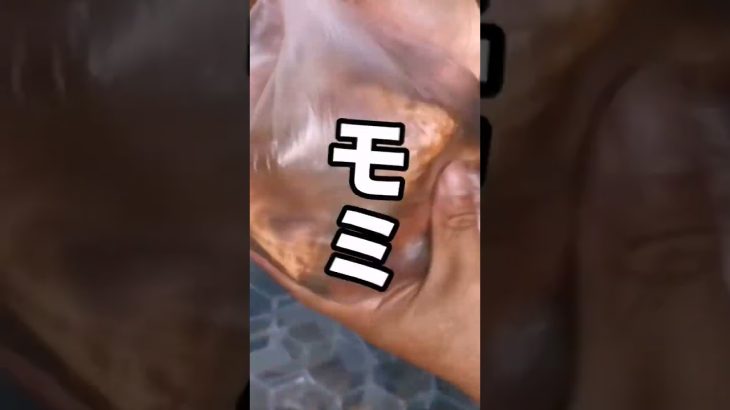 【俺のキャンプ飯】割引スペアリブ#shorts #キャンプ飯 #スペアリブ