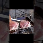 【キャンプ飯】厚さは正義だ。極厚鉄板で焼いてみた。【鉄板】 #shorts #キャンプギア #鉄板 #料理 #焚火 #bundok #キャンプ #キャンプ #豚肉料理