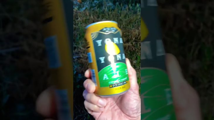 【キャンプ飯】焼くだけ簡単なトンテキミートパイ【餃子風】 #shorts  #short  #キャンプ飯