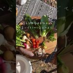 【ルー不要】簡単本格チキンスープカレー！！余った野菜を添えておしゃれ映え♡【キャンプ飯】